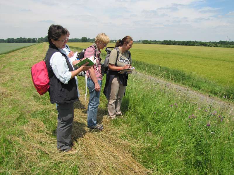 Pflanzenkennerinnen bestimmen die Gewächse am Deich im Rahmen des GEO-Tags der Artenvielfalt 2010; Foto: 13.06.2010, Düsseldorf-Himmelgeist
