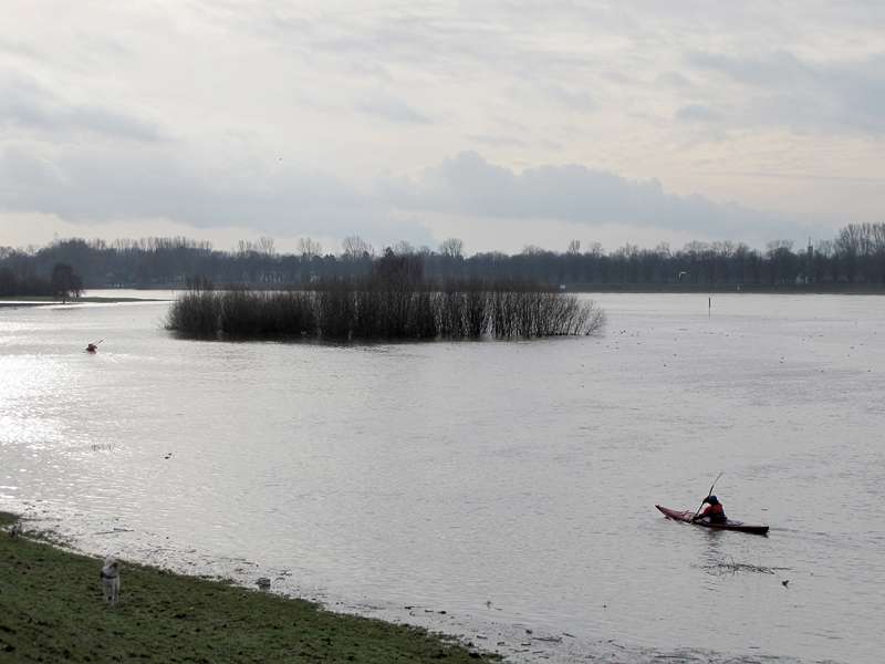 Rhein-Hochwasser im Januar 2011; Foto: 09.01.2011, Düsseldorf-Hamm