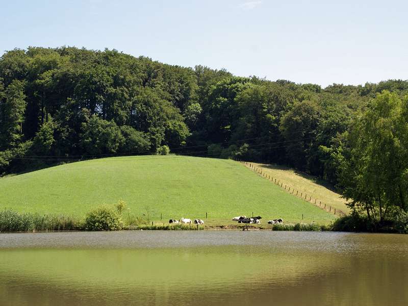 Teich mit hügeliger Landschaft im Morper Bachtal; Foto: 13.06.2009, Erkrath-Reutersberg