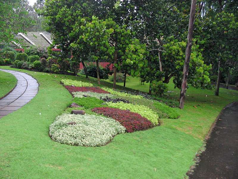 Farblich angeordnete Pflanzen belegen die Gärtnerkunst im Botanischen Garten; Foto: 10.11.2006, Peradeniya