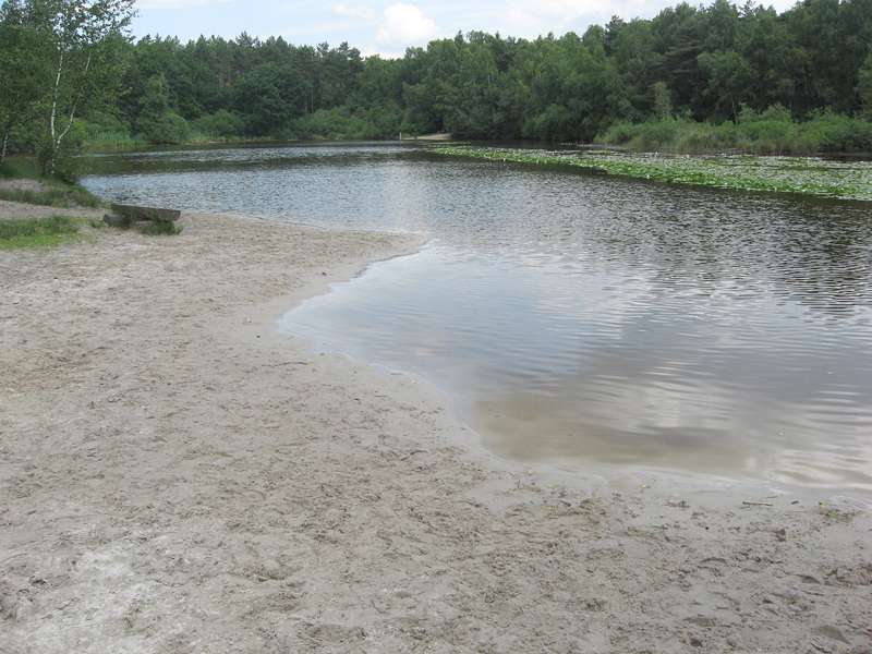 Gewässer mit Seerosen im Naturschutzgebiet Lüsekamp; Foto: 20.06.2009, Elmpt, Niederkrüchten