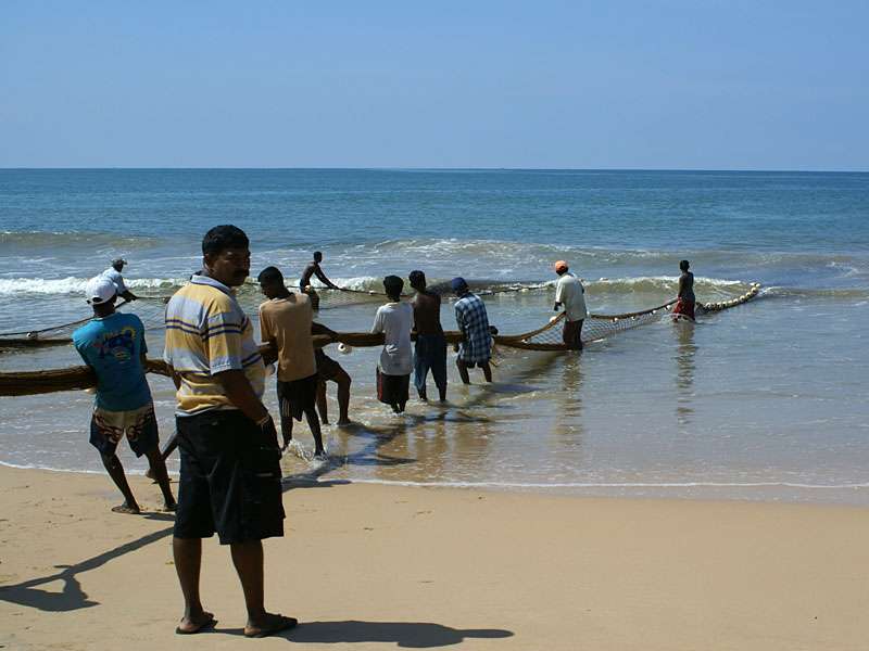 Die Fischer von Kosgoda holen das Netz gemeinsam ein; Foto: 06.11.2006, Kosgoda