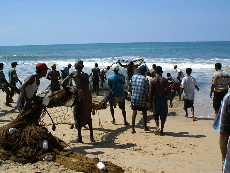 Vorsichtig ziehen die Fischer das große Netz an Land; Foto: 06.11.2006, Kosgoda