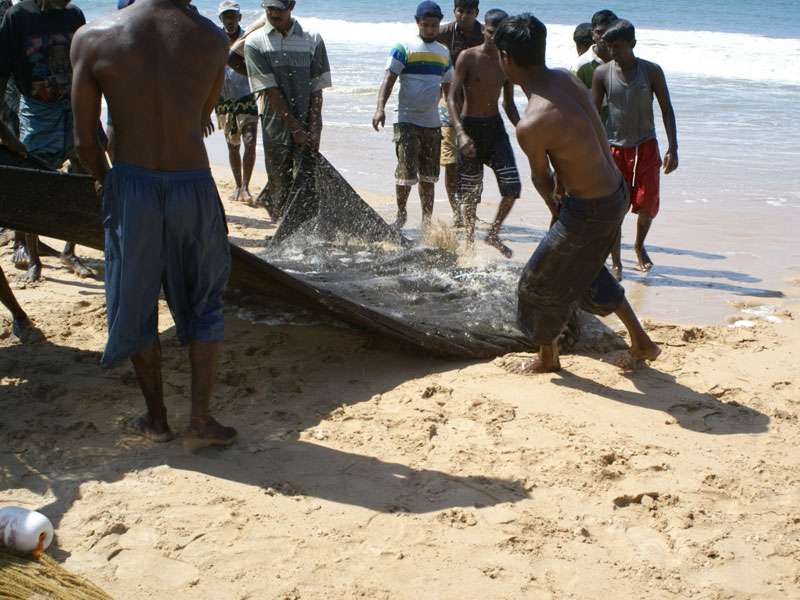 Die gefangenen Fische kämpfen um ihr Leben und schleudern dabei Sand und Wasser hoch; Foto: 06.11.2006, Kosgoda