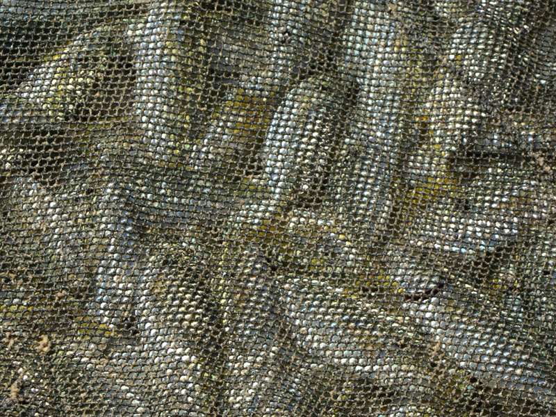 Unzählige Fischleiber schimmern durch das Netz; Foto: 06.11.2006, Kosgoda