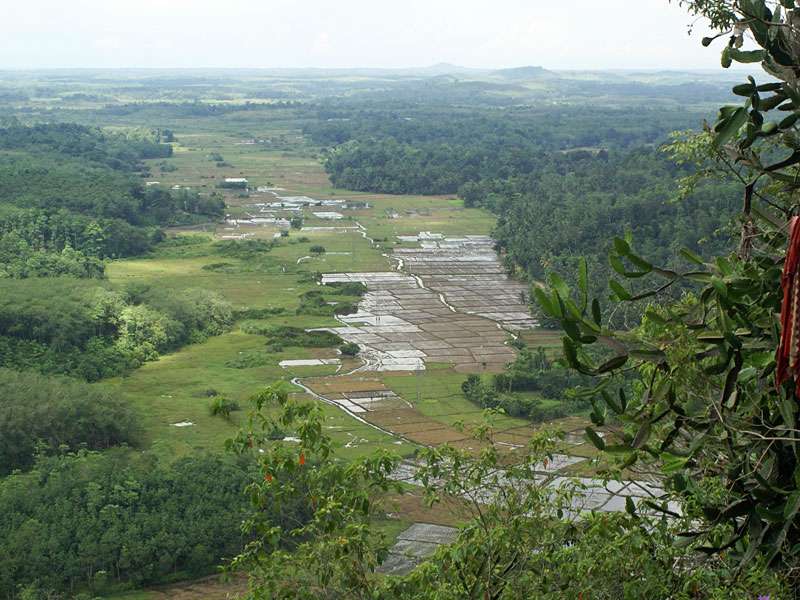 Reisfelder bei Galatara; Foto: November 2006, Galatara
