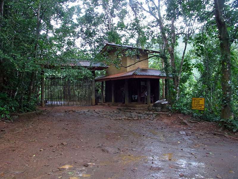Einer der Eingänge des Schutzgebiets - von hier aus kann man Erkundungen in Begleitung eines Rangers starten; Foto: 13.09.2015, Sinharaja-Regenwald