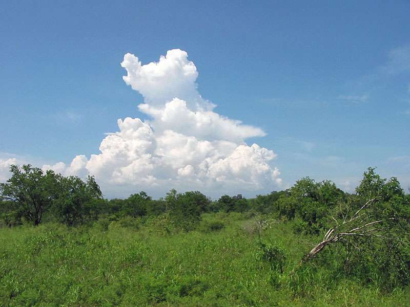 In der Ferne türmen sich Wolken auf, die oft später zu Gewitterwolken werden; Foto: 07.11.2006, Udawalawe-Nationalpark