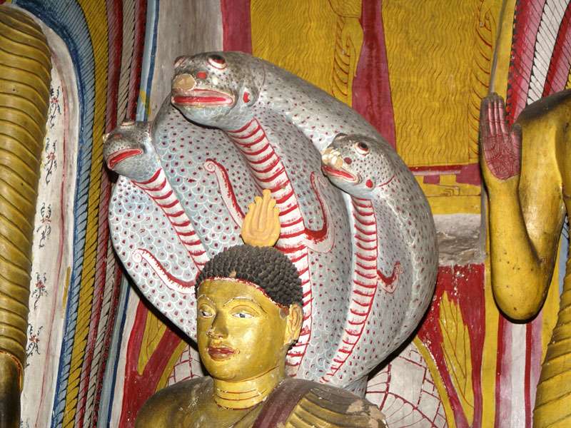 Die schützenden Kobras über dem meditierenden Buddha sind bei vielen Statuen zu sehen; Foto: 09.11.2006, Dambulla