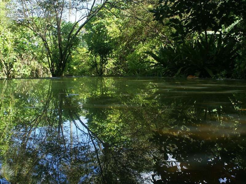 Teich auf dem Gelände der Panchakapaduwa-Tempelanlage; Foto: 16.11.2006, Bentota