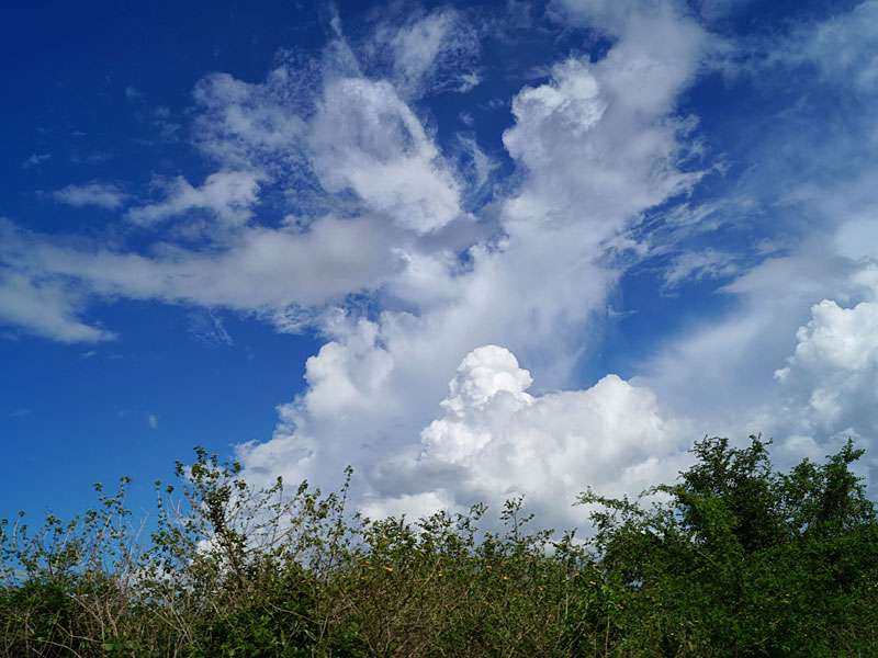 Immer wieder faszinierend: Wolkentürme am Himmel über dem Nationalpark; Foto: 15.09.2015, Udawalawe-Nationalpark