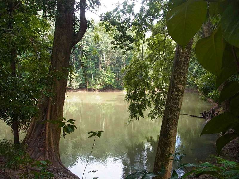 Blick auf das Gewässer im Udawattakele-Schutzgebiet; Foto: 20.09.2015, Kandy