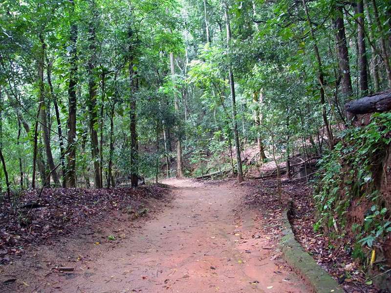 Einer der Wege im Udawattakele-Schutzgebiet; Foto: 20.09.2015, Kandy