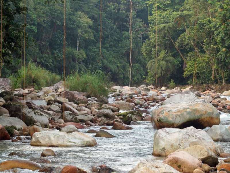 In der Nähe der Hakuna Matata Amazone Lodge befindet sich ein Flusslauf; Foto: 10.12.2017