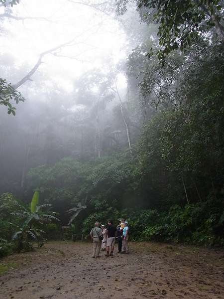 Kleine Besuchergruppe im Palmichal Rorest Reserve; Foto: 20.04.2013, Nähe Bejuma