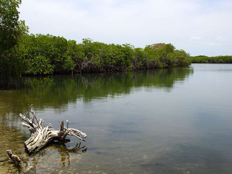 Mit Mangroven gesäumte Lagune im Morrocoy-Nationalpark; Foto: 23.04.2013, Nähe Tucacas