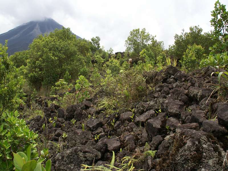 Vulkanisches Gestein, Vegetation und im Hintergrund der Arenal; Foto: 29.04.2012, Arenal-Nationalpark