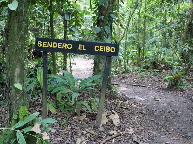 Ein Wegweiser zeigt den Sendero El Ceibo an; Foto: 29.04.2012, Arenal-Nationalpark