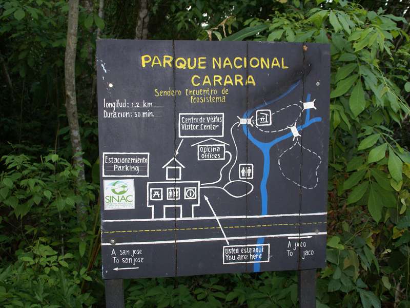 Ein Hinweisschild zeigt, wo es lang geht; Foto: 06.05.2012, Carara-Nationalpark