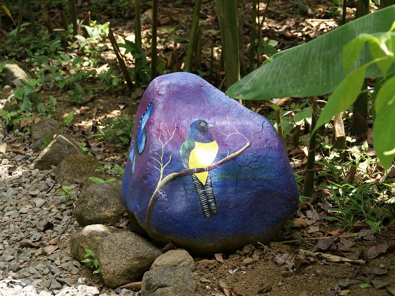 Bemalte Steine zieren die Wegränder im Ecocentro Danaus; Foto: 28.04.2012, La Fortuna