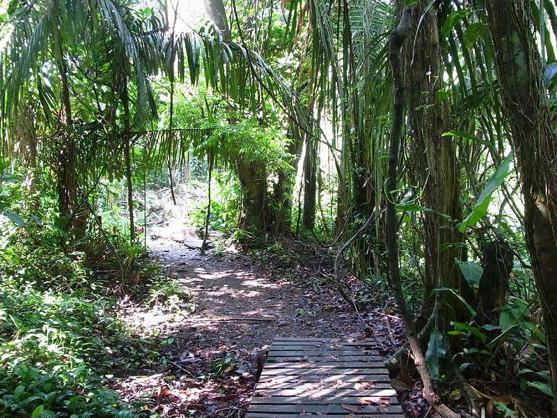 Wanderweg auf dem Gelände des Naturschutzgebiets der Hacienda Barú; Foto: 07.05.2012, Nähe Manzanillo
