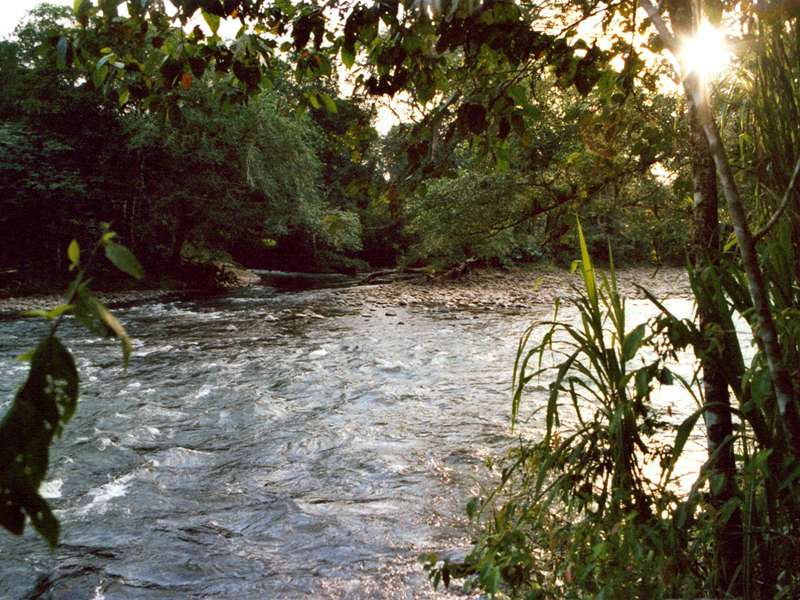 Der Sarapiquí-Fluss an der Selva Verde Lodge; Foto: 28.01.2004, Nähe Puerto Viejo de Sarapiquí