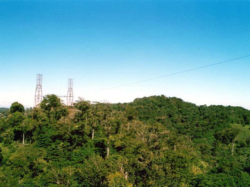 Die Pylonen des Sky Treks in Santa Elena ragen aus dem Wald; Foto: 02.02.2004, Santa Elena