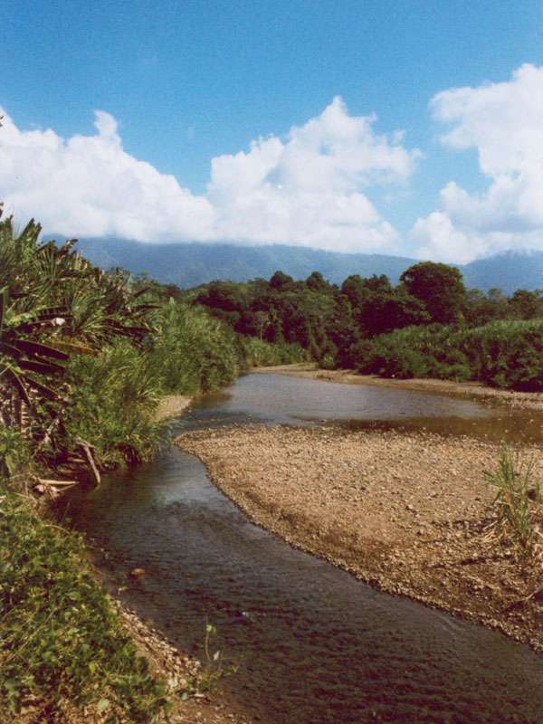 Mündungsbereich des Río Tortuga; Foto: 07.04.2004, Playa Tortuga