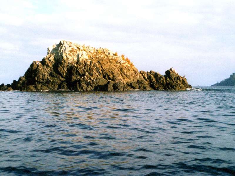 Felsen im Mündungsbereich des Río Sierpe; Foto: 11.02.2004, Nähe Sierpe