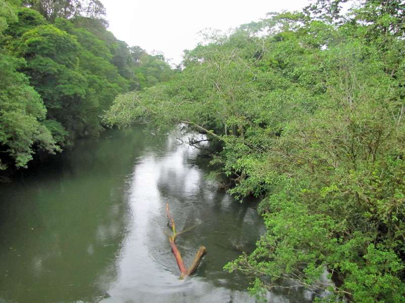 Der Río Sarapiquí auf dem Gelände der La Selva Biological Station; Foto: 27.04.2012, Nähe Puerto Viejo de Sarapiqu