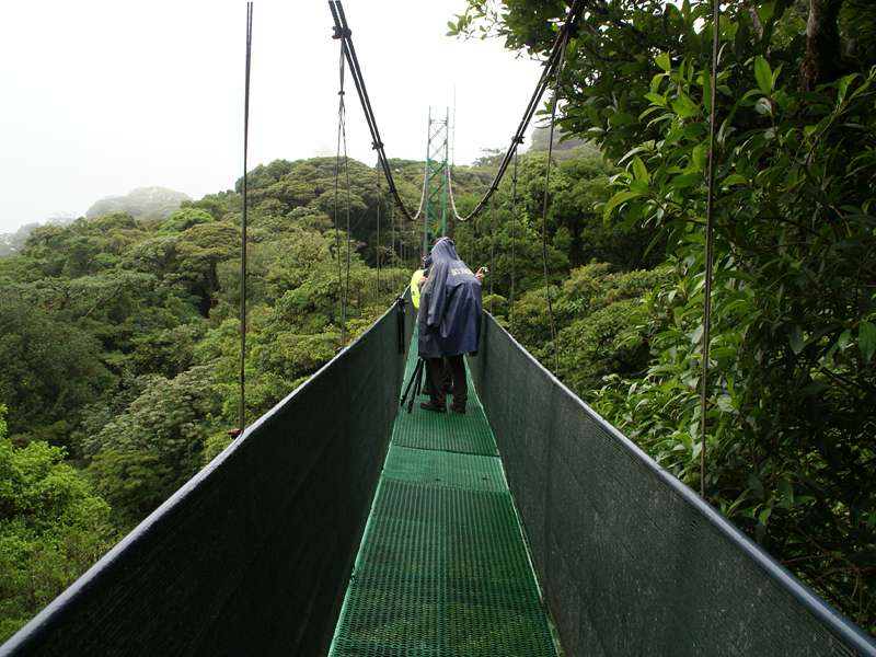 Hängebrücke über dem Kronendach im Bergnebelwald; Foto: 02.05.2012, Santa Elena