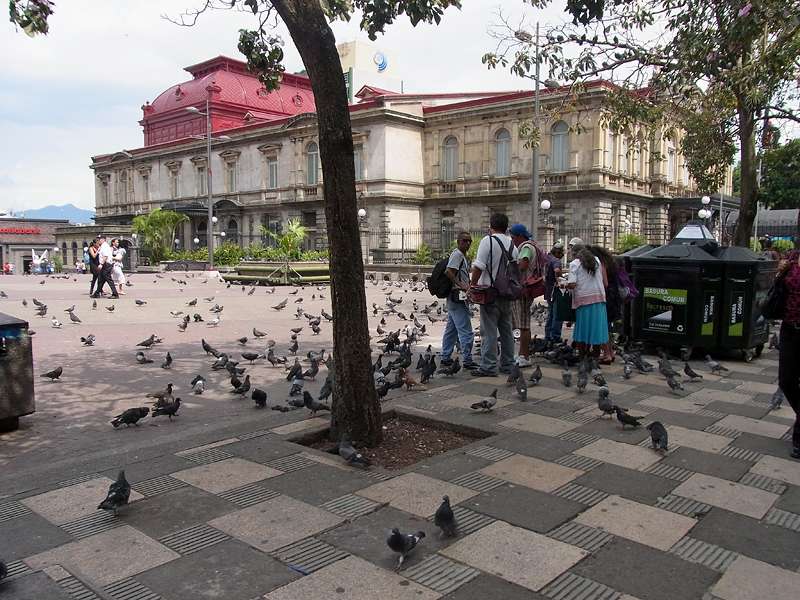 Blick auf die Plaza de la Cultura mit ihren vielen Straßentauben; Foto: 09.05.2012, San José