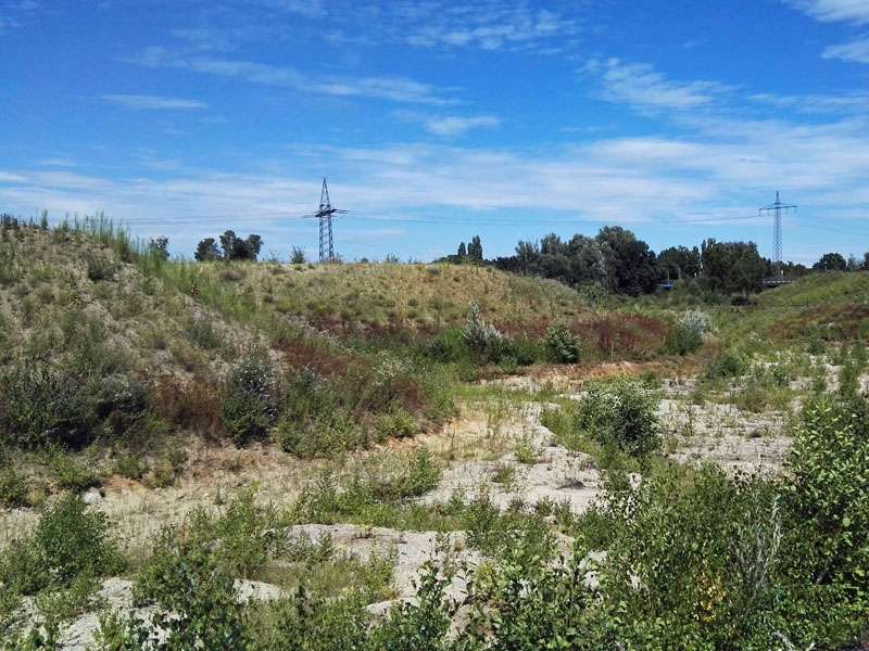 Das neu geschaffene Bett für Läppkes Mühlenbach; Foto: 22.07.2019